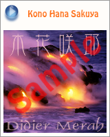 ブログパーツ